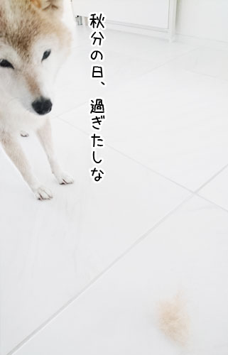 2016-9-28-2.jpg