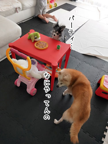 2019-6-29-1