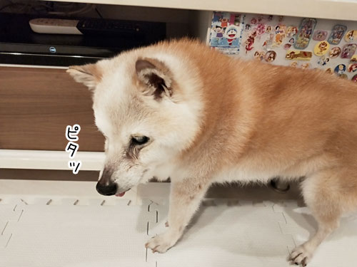 2019-10-10-1