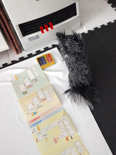 2019-2-28-2