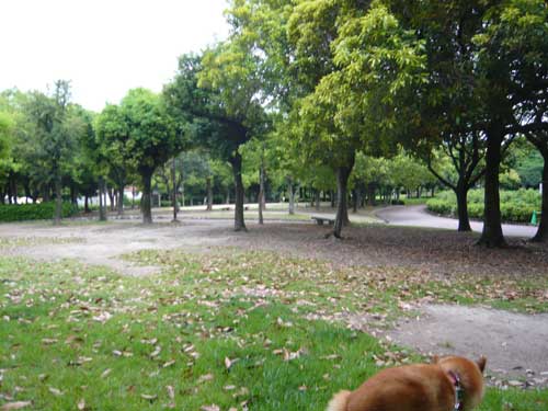 2011-5-28-1.jpg