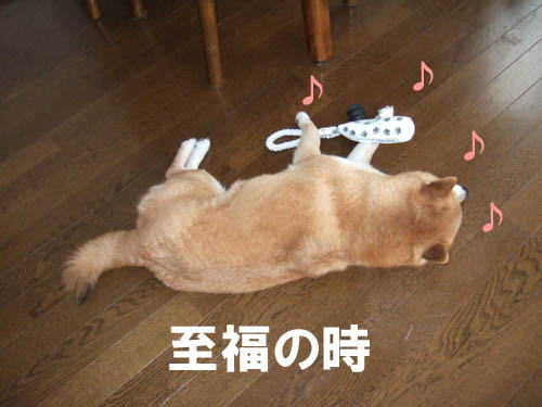 55368d8f.jpg