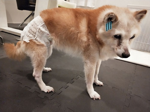 2019-11-8-3