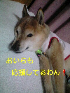 2011-5-30.jpg