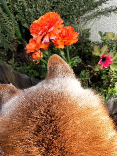 2019-3-20-2