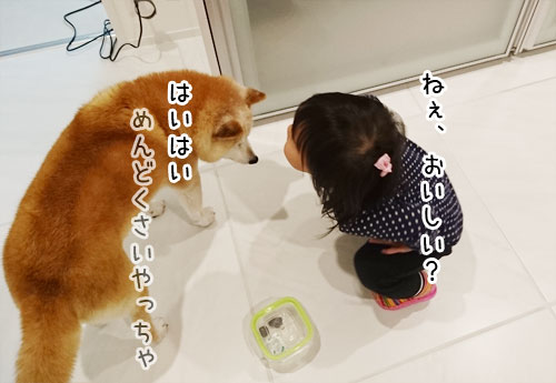 2016-1-29-3.jpg