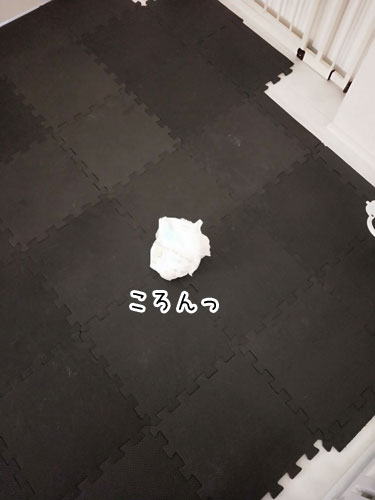 2019-11-17-1