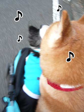 めばちこ ぽち Powered By ライブドアブログ