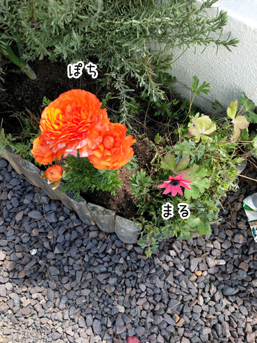 2019-3-20-1