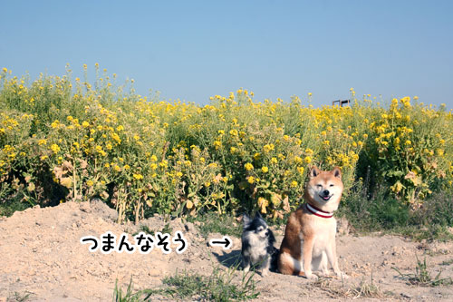 2011-4-19-3.jpg