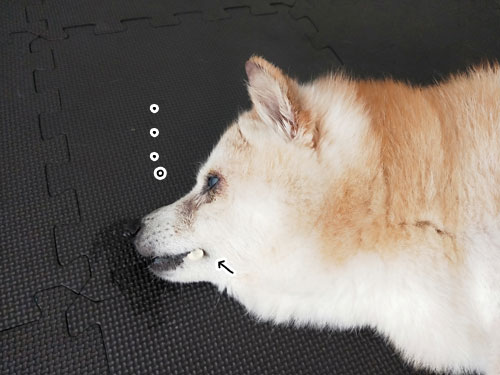 2019-8-4-2