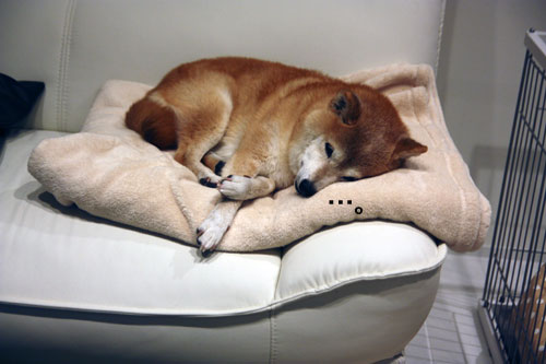 2012-11-25-3.jpg