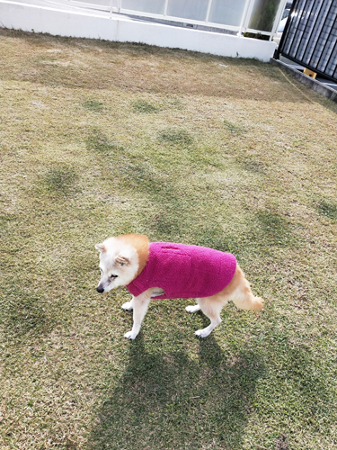 2019-11-21-1