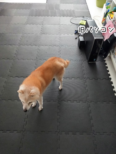 2019-7-12-1