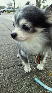 2011091719580001.jpg