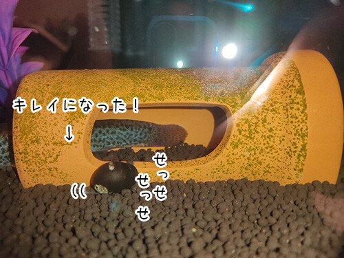 2021-3-5-2