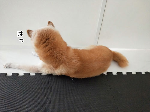 2019-7-14-3