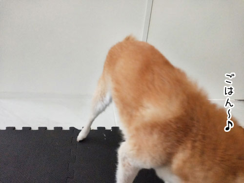 2019-7-14-9