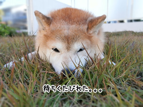 2012-11-22-2.jpg