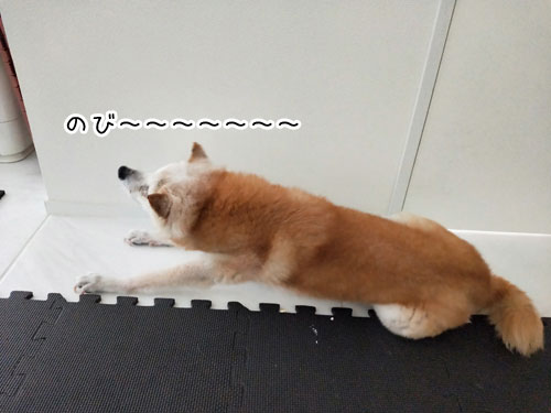 2019-7-14-7