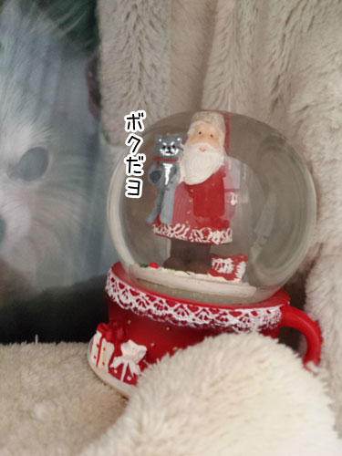 2015-11-24-3.jpg