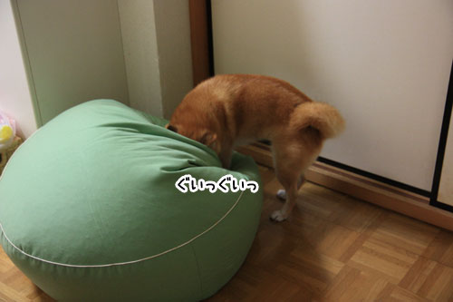 2011-9-29-1.jpg
