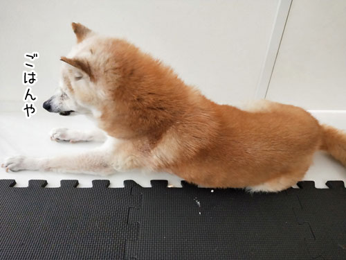 2019-7-14-4