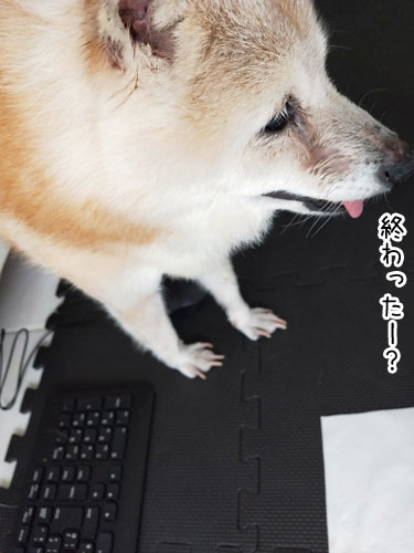 2019-7-7-1