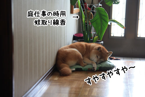 2011-5-27-1.jpg