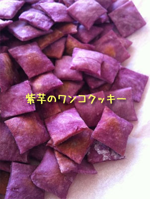 2012-11-22.jpg