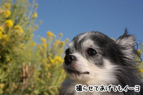 2011-4-19-4.jpg