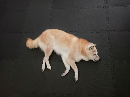 2019-9-12-1