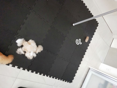 2019-8-20-2