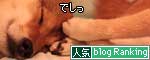 人気ブログランキングへ