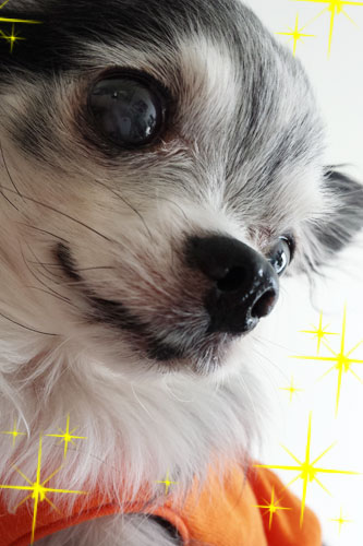 2013-7-29-1.jpg
