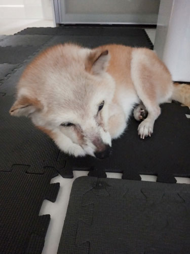 2019-10-22-1