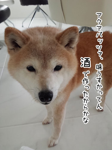 2015-1-29-1.jpg