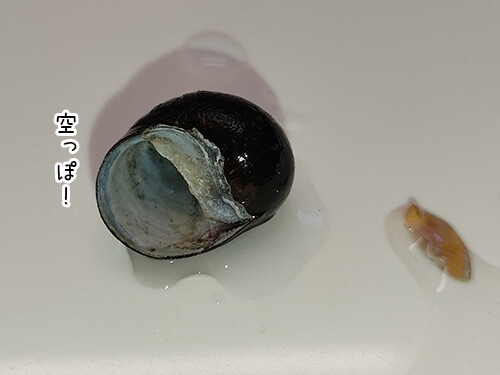 別れを認める ぽち Powered By ライブドアブログ