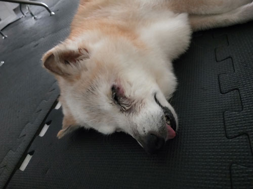 2019-9-5-2