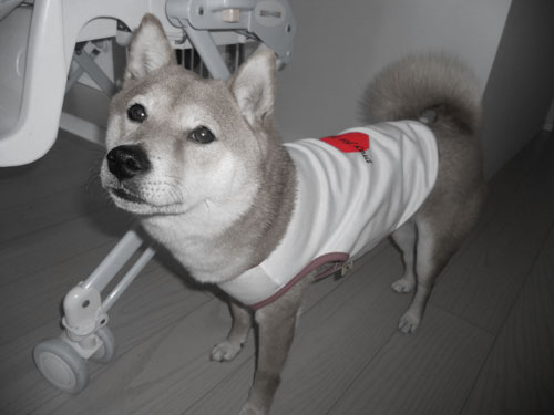 2011-5-14.jpg