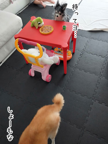 2019-6-29-2