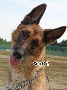 9・22ベルタ