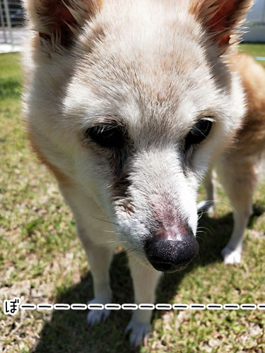 2019-6-16-2