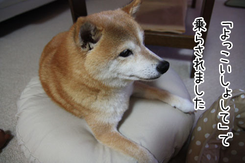 2011-6-22-2.jpg