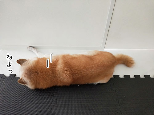2019-7-14-2