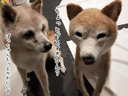 2019-7-9-4