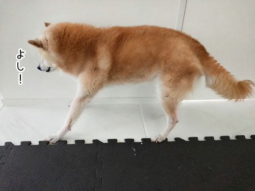 2019-7-14-8