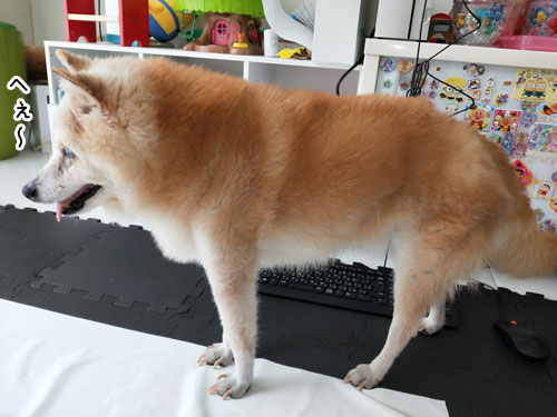 2019-7-6-3