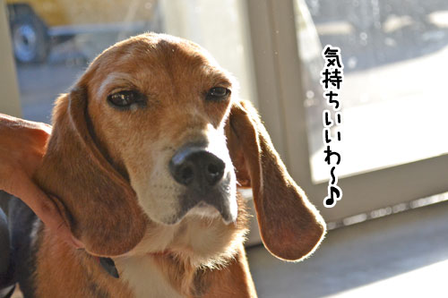 2013-1-14-1.jpg