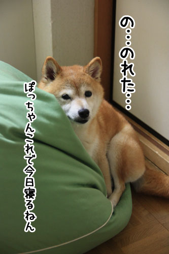 2011-9-29-4.jpg
